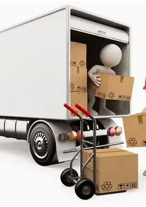 Flete estandar concepcion